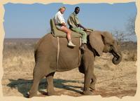 Elefantenreiten in Afrika