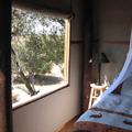 Der 7. Himmel in Botswana
