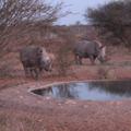 Der 7. Himmel in Botswana