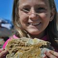 Geologie zum Anfassen