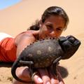 Begegnung der besonderen Art in der Namib