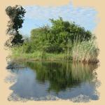 Mashi River Safaris: Entdecke den Caprivi Mashi River Safaris: Entdecke den Caprivi