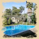 Tierquelle bei Grootfontein Tierquelle bei Grootfontein