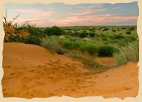 Trans Kalahari Walk Trans Kalahari Walk