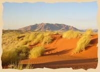 Die roten Dünen der Namib