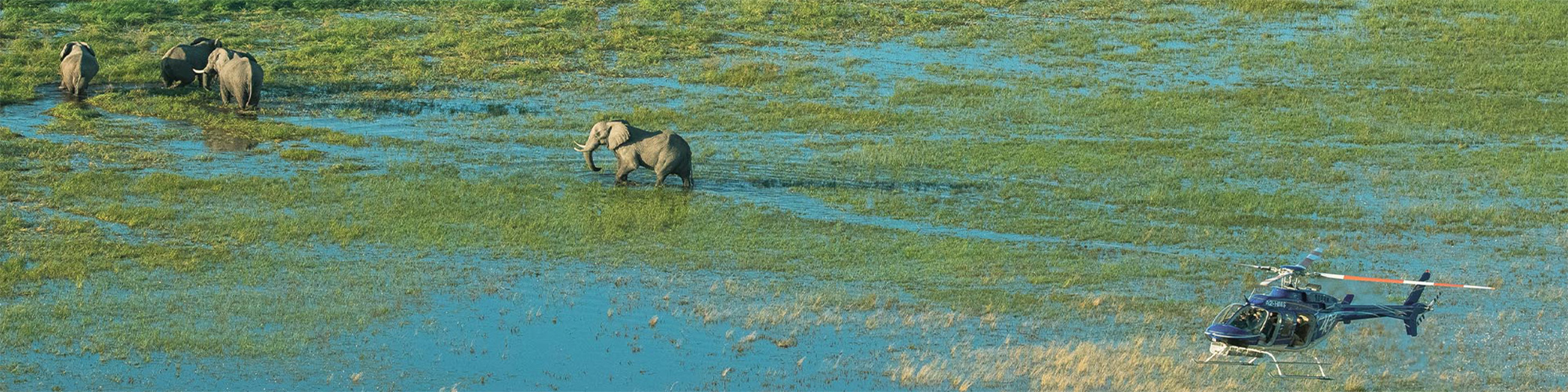 Okavango Delta Rundflüge mit dem Helikopter