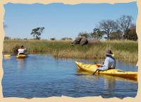 Okavango Delta Kayaking