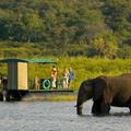Bootsfahrt mit Elefant