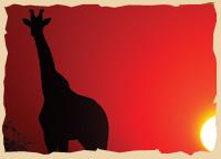 Giraffen in der Kalahari