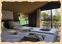 Zimmer der Savute Safari Lodge 