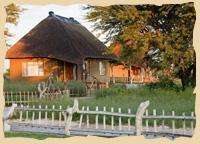 Copyright: Grassland Bushman Lodge