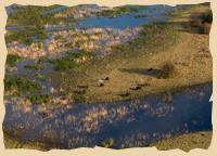 Wunderschönes Okavango-Delta