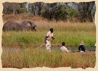 Elefanten auf einer Botsfahrt im Okavango Delta