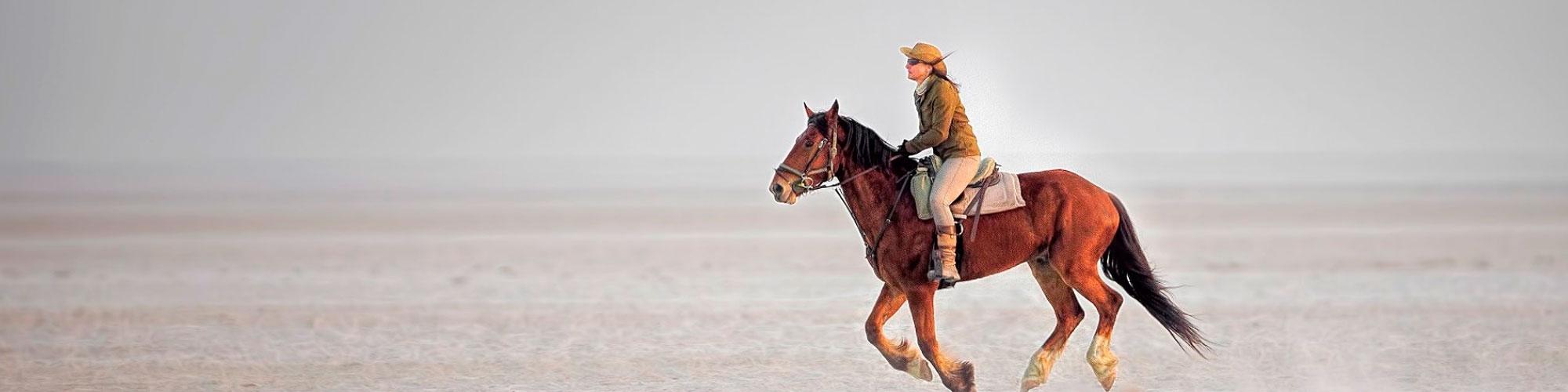 Makgadikgadi Pans Header