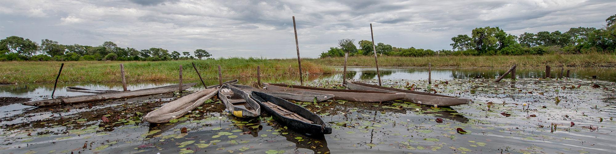 Okavango Delta Guenstig Header