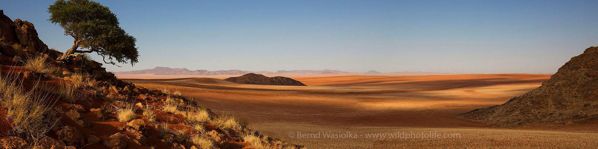 Header Namib Safari