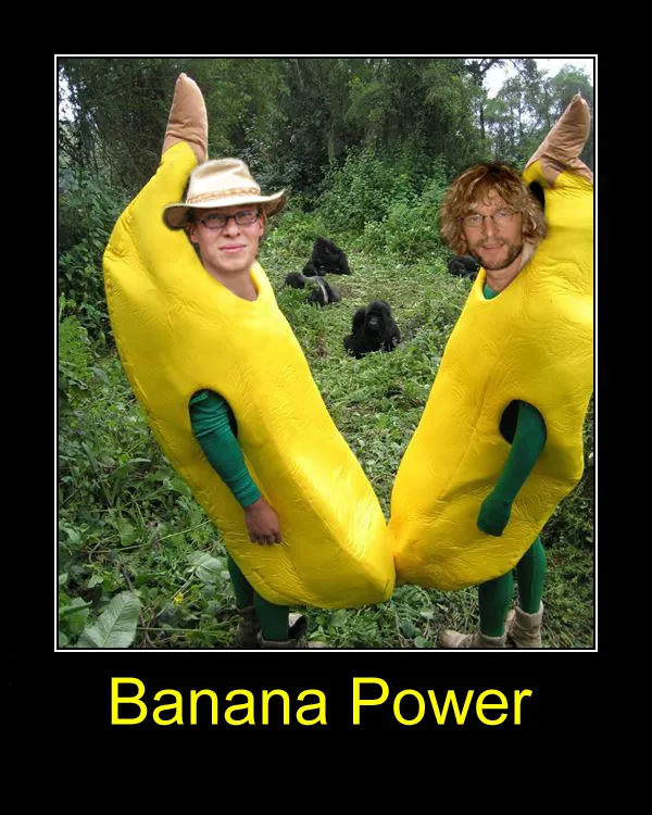 16 Banana Power