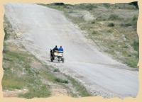 In Namibia, Botswana und Südafrika herrscht Linksverkehr, die Eselskarren halten sich zumeist daran