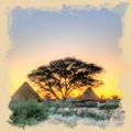 Sonnenuntergang über der namibischen Savanne