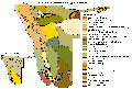 Füße hoch ist nicht - Selbstfahrend Namibia entdecken!