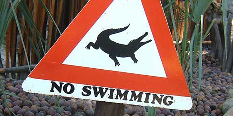 Lieber nicht Schwimmen