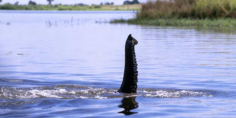Zipfelstürmer Spezial-Tour 2026