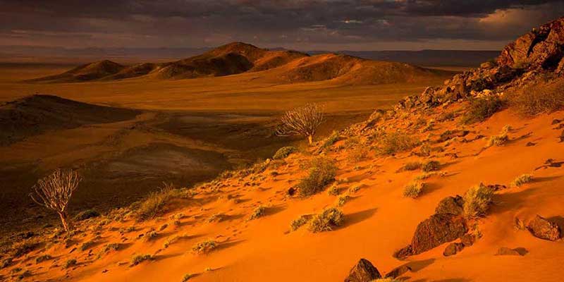 Fotografie-Safari in der Namibwüste