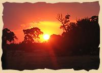 Sonnenuntergang - Chobe Nationalpark
