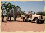 Elefant und Landy