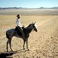 Reiten in der namibischen Wüste